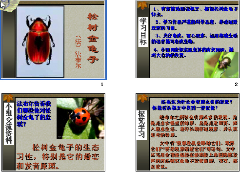 查看预览图