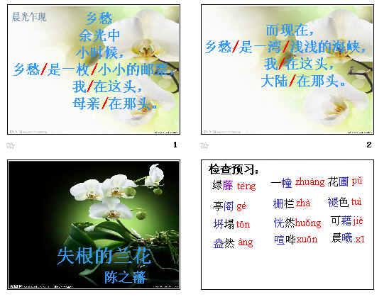 查看预览图