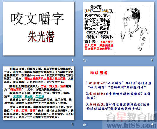 查看预览图