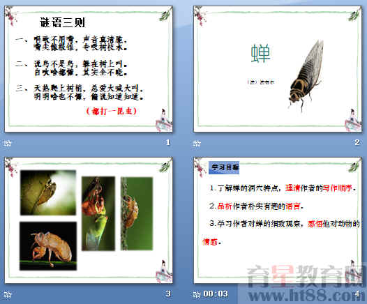 [八年级上册课件] 《蝉》ppt41 共25张，作者简介，预习检测，课堂探究，阅